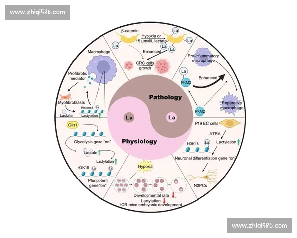 围绕直接任意球技战术演变与经典进球解析的深度专题标题 围绕直接任意球技战术演变与经典进球解析的深度专题标题